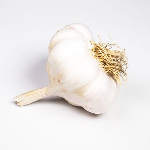 Organic Fresh Garlic